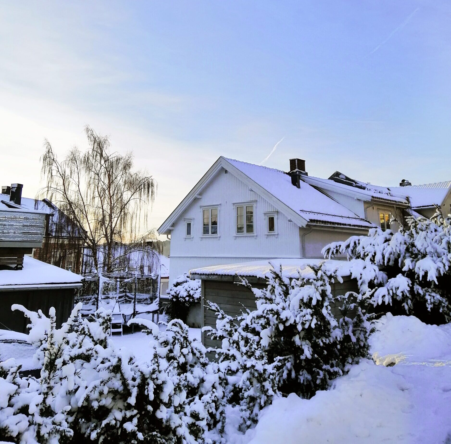 houses surrounded by trees covered snow larvik norway